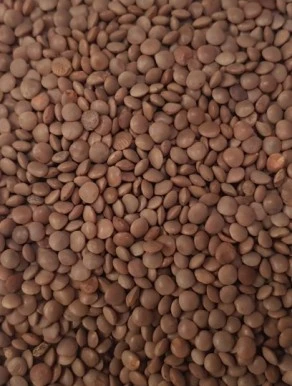 Dried Brown Lentils - Berry