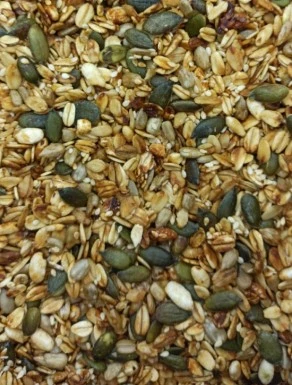 Granola Traditionnel Avoine et Miel - 100% Naturel