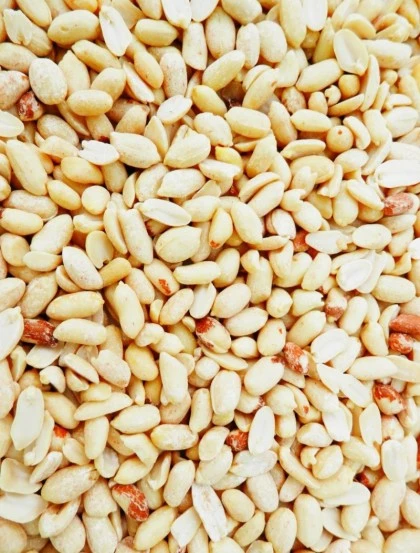 Erdnüsse Weiß Blanchiert Ohne Haut - Getreide