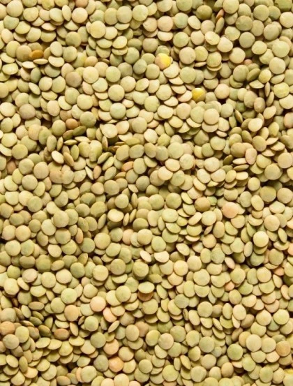 Dried Green Lentils - Berry