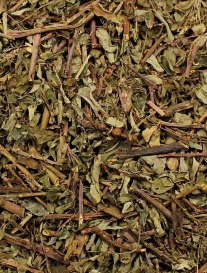 Stonebreaker Herbal Tea - Plant