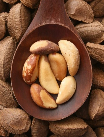 Brazil Nut - Kernel