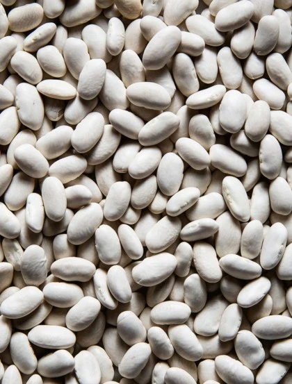 White Beans Dried - Grain