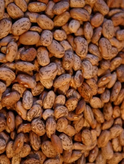 Catarino Beans Dried - Grain