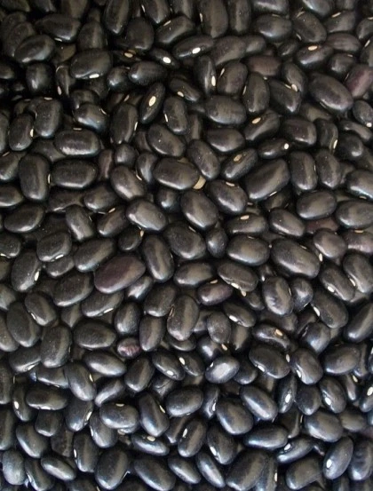 Schwarze Bohnen - Beeren