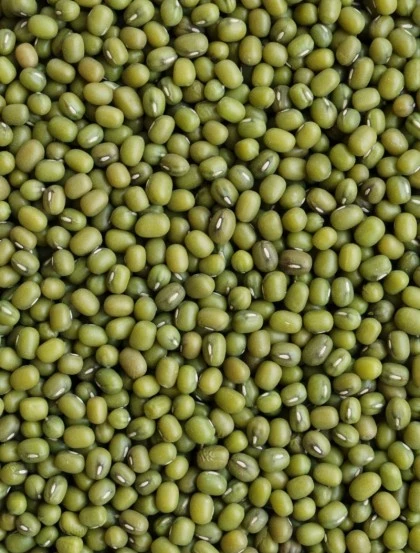 Mung Beans Dried - Grain