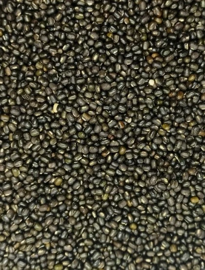 Dried Black Lentils - Berry
