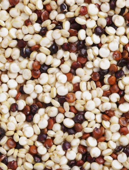 Sementes de Quinoa Tricolor - Sementes