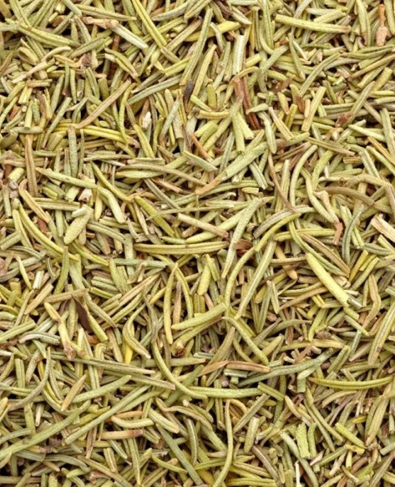 Rosemary - Leaves